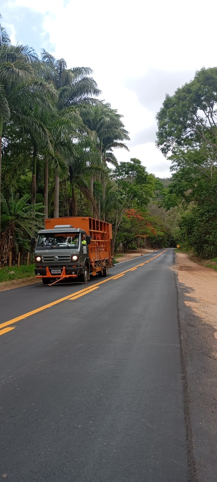 SINALIZAÇÃO HORIZONTAL EM TRECHOS DE MANHUMIRIN E CARANGOLA - MG